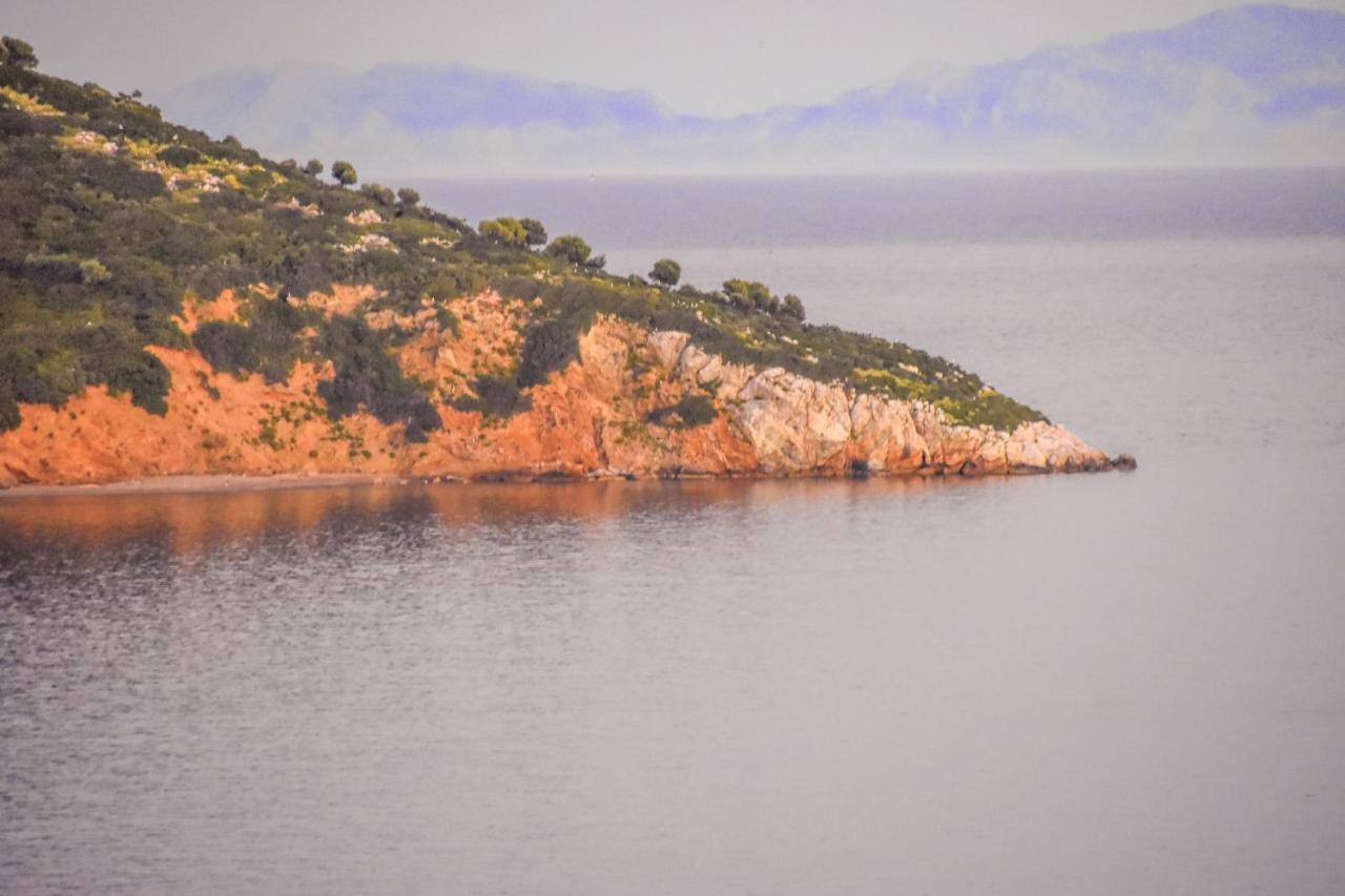 La Maison Plakes Rooftop Apt Skiathos Town Ngoại thất bức ảnh